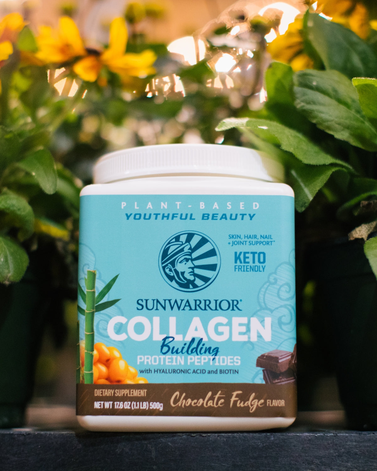 Collagen Building Peptides Sunwarrior Fulgi de Ciocolata 500g